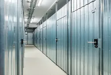 daslenzwildschnau19.jpg